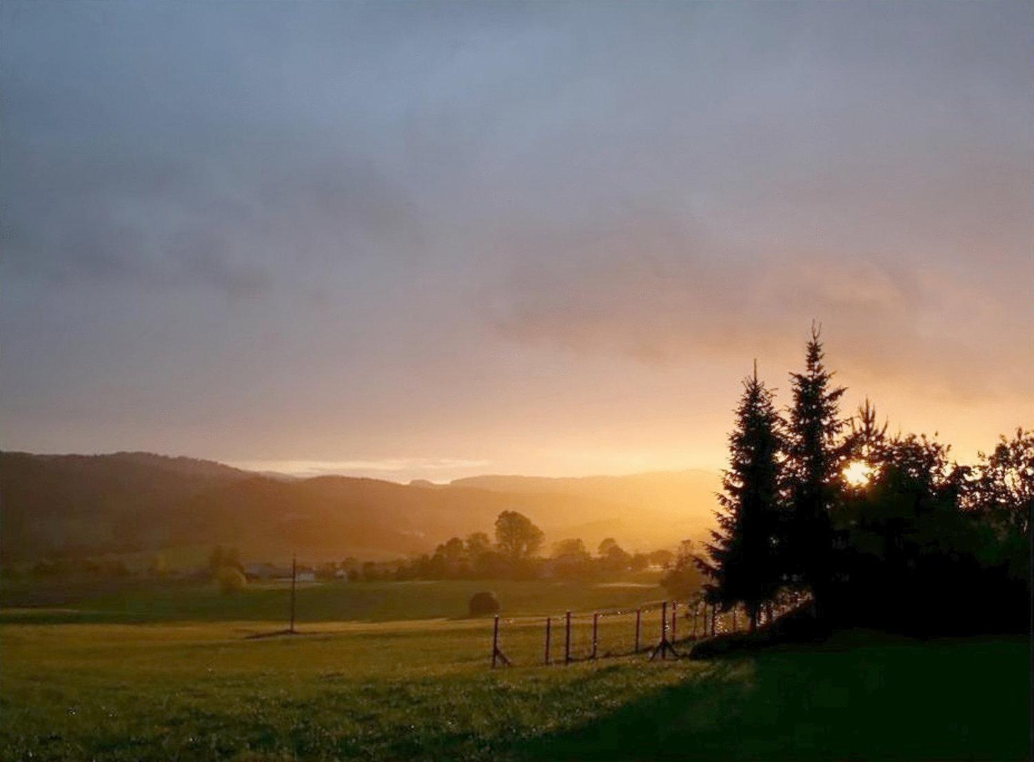 Kucher'S Landhotel Darscheid Экстерьер фото